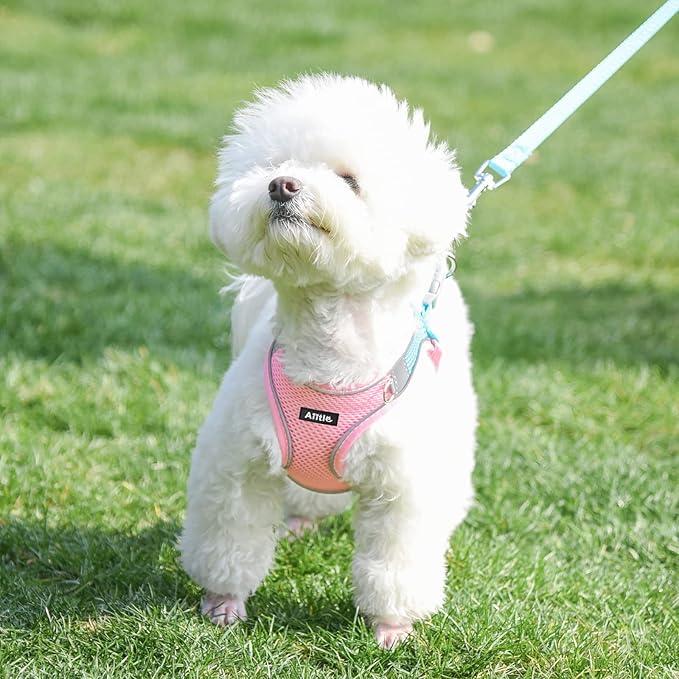 AIITLE Step in Dog Harness and Leash Set - Summer No Pull Escape Proof Vest Harnesses with Soft Mesh and Reflective Bands, Adjustable Pet Outdoor Harnesses for Small and Medium Dogs Pink M