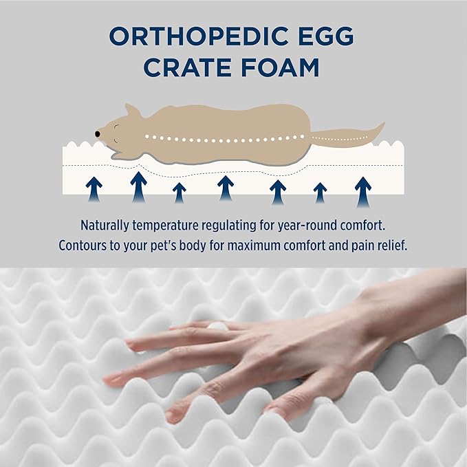 Bedsure Dog Bed Medium Size Dog - Comfy Flat Puppy Beds with Removable Washable Cover, Orthopedic Egg Crate Foam Pet Mat, Suitable for Pet Up to 30 lbs