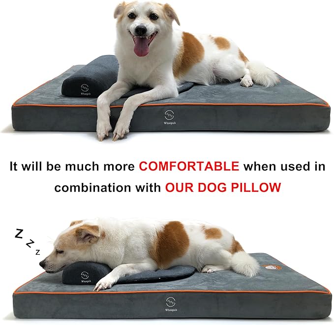 Dog Orthopedic and Crate Beds, Made of Memory and High Resilience Foram, Two-Sided Use, Providing Soft and Relatively Hard Support, with an Extra Inner Waterproof Protector (Gray, Large)