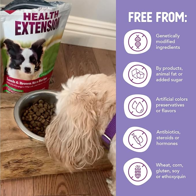 Health Extension Lamb & Brown Rice Dry Dog Food, Protein Packed Formula with Probiotics & Superfoods for Digestion & Coat Health (4lb)