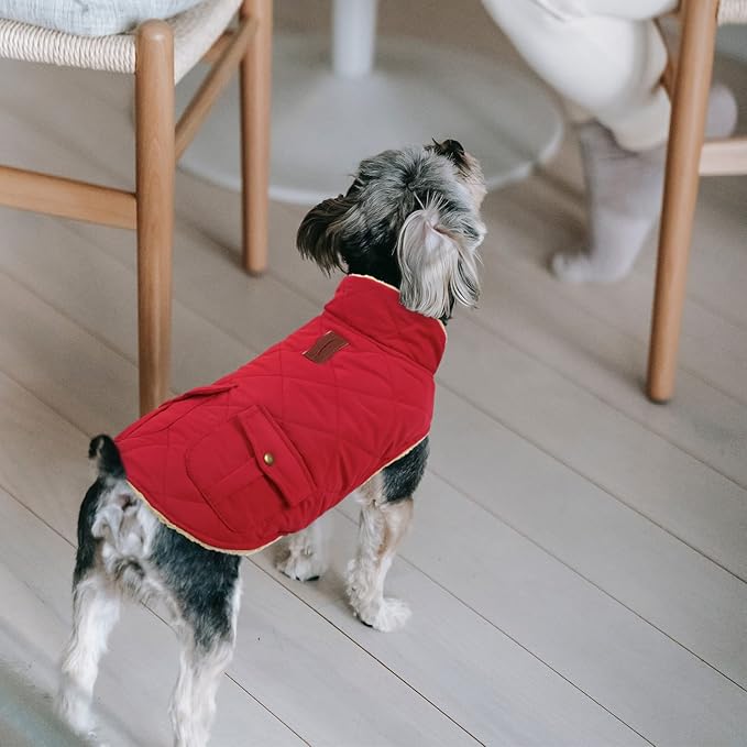 Queenmore Warm Dog Coat, Cold Weather Puffer Dog Jacket Ultra Thick Plush Lining with Storage Pockets (Red, Small)