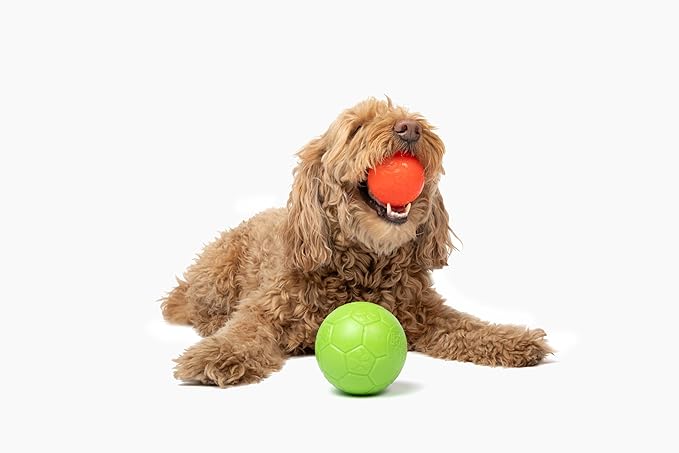 Jolly Pets Mini Jolly Soccer Ball; Floating-Bouncing Dog Toy; 3" Green Apple