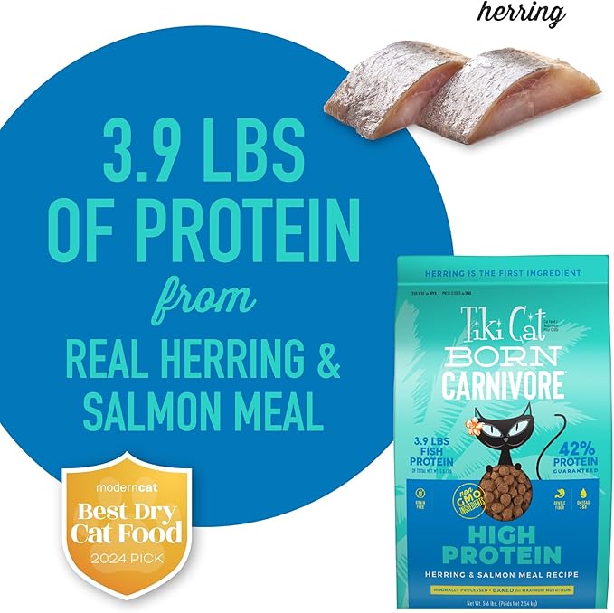 Tiki Cat Born Carnivore High Protein Dry Cat Food, Herring & Salmon Meal, 5.6 lbs. Bag