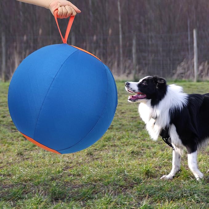 Dog Herding Ball for Dogs & Puppies, Toy Balls for Cattle, Australian Shepherd, Non-Chewing Activities, Large Dog Toy | Oxford Fabric Cover, Pump, with Patch Repair Kit (22 inch)