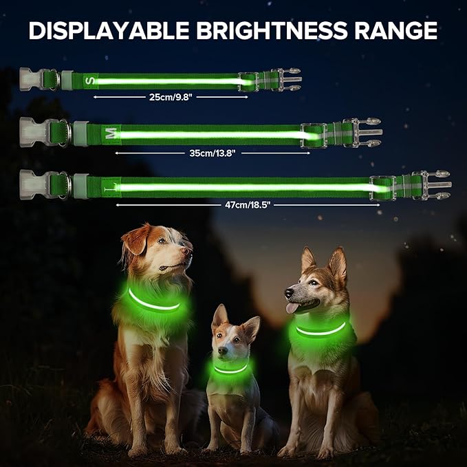 Light Up Dog Collar, Adjustable USB Rechargeable Glow in Dark Dog Collar ，Waterproof Dog Collars for Medium Dogs (Green, Medium)