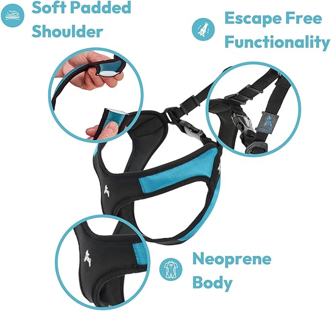 Gooby Escape Free Easy Fit Harness - Purple, X-Small - No Pull Step-in Patented Small Dog Harness with Quick Release Buckle - Perfect On The Go No Pull Harness for Small Dogs or Medium Dog Harness