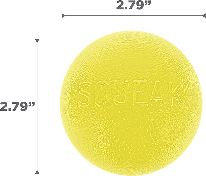 Outward Hound by Planet Dog Squeak Ball Bouncy Fetch Dog Toy, Yellow