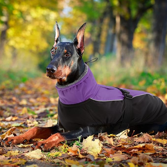 IDOMIK Dog Winter Coat, Reflective Waterproof Dog Jacket for Cold Weather, Warm Pet Coats for Small Medium Large Dogs, High Collar Doggy Fleece Snow Jacket, Winter Vest with Adjustable Buckle,M
