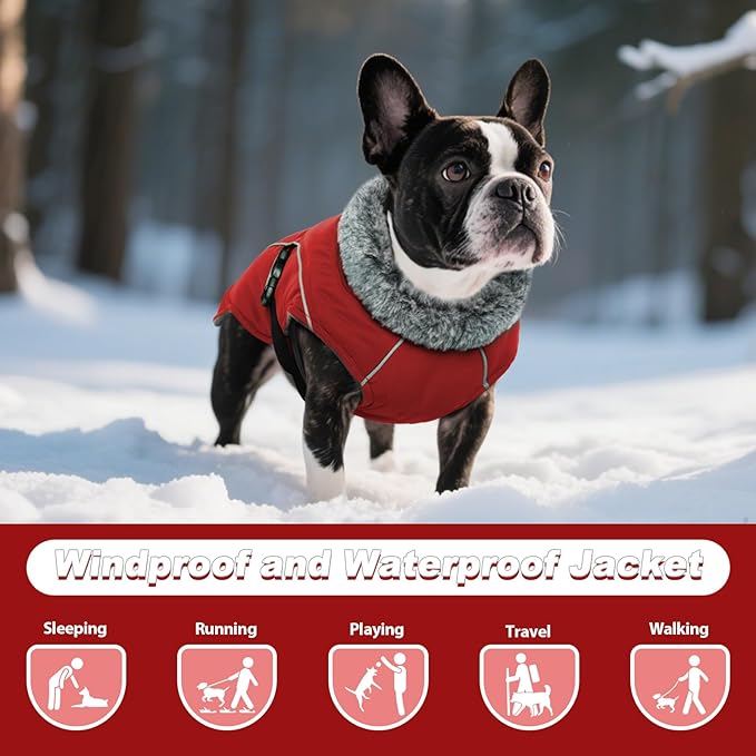 DENTRUN Dog Winter Coat - Windproof Reflective Jacket, Plush Turtleneck & Adjustable Belt, Water Repellent Fleece Lined Cold Weather Vest for Corgi Bulldog, Red, L
