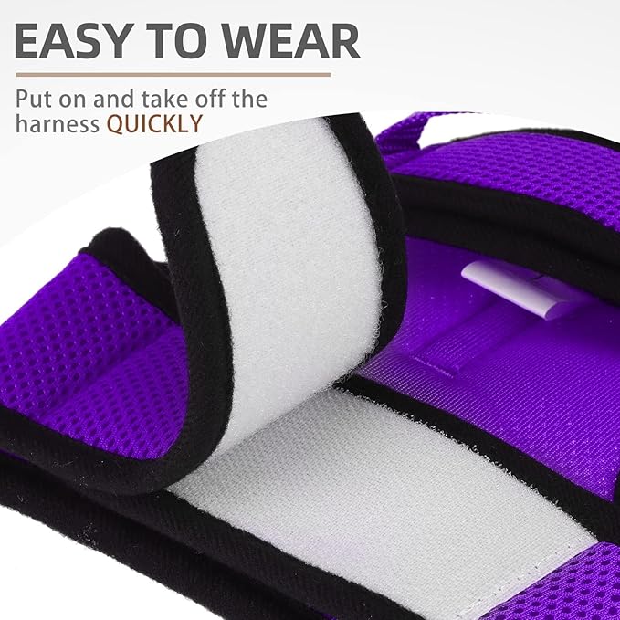 PUPTECK Soft Mesh Cat Vest Harness and Leash Set Puppy Padded Pet Harnesses Escape Proof for Cats Small Dogs, Purple Large