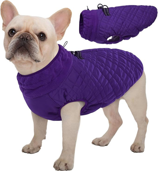 Kuoser Medium Dog Coat | All-Breed Thermal Wear with Windproof Layer | Reflective Tabs Enhance Visibility in Snow, Snap Buckles Simplify Dressing, Purple M