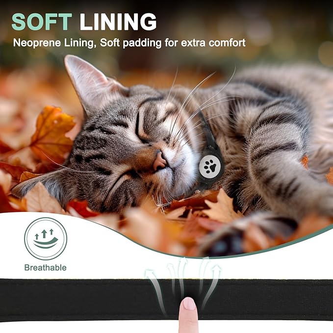 Airtag Cat Collar Breakaway, Reflective Cat Collar with AirTag Holder and Bell, Compatible with Apple Air Tag, Comfortable Padding, Adjustable, Durable (Black)