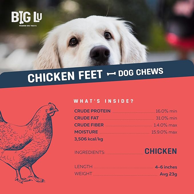 Big Lu – Nail-Free Chicken Feet Dog Chews, 100% Natural Single-Ingredient Treats, Rawhide-Free, Long-Lasting, Rich in Glucosamine and Chondroitin for Joint Health (60 Count)