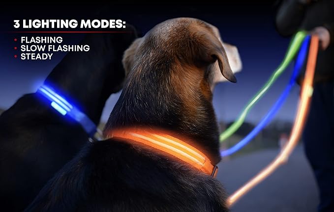 ILLUMISEEN LED Dog Collar USB Rechargeable - Bright & High Visibility Lighted Glow Collar for Pet Night Walking - Weatherproof, in 6 Colors & 6 Sizes (Green Small)
