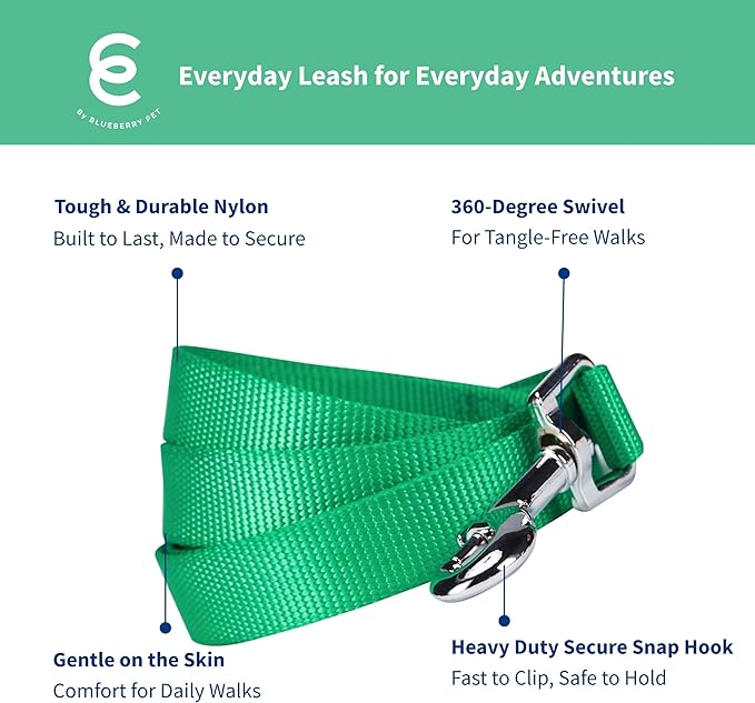 Blueberry Pet Essentials Emerald Dog Leash for Small -5' * 5/8" Dogs | Heavy Duty Nylon Lead | Lightweight Puppy & Cat Leash for Walking & Training