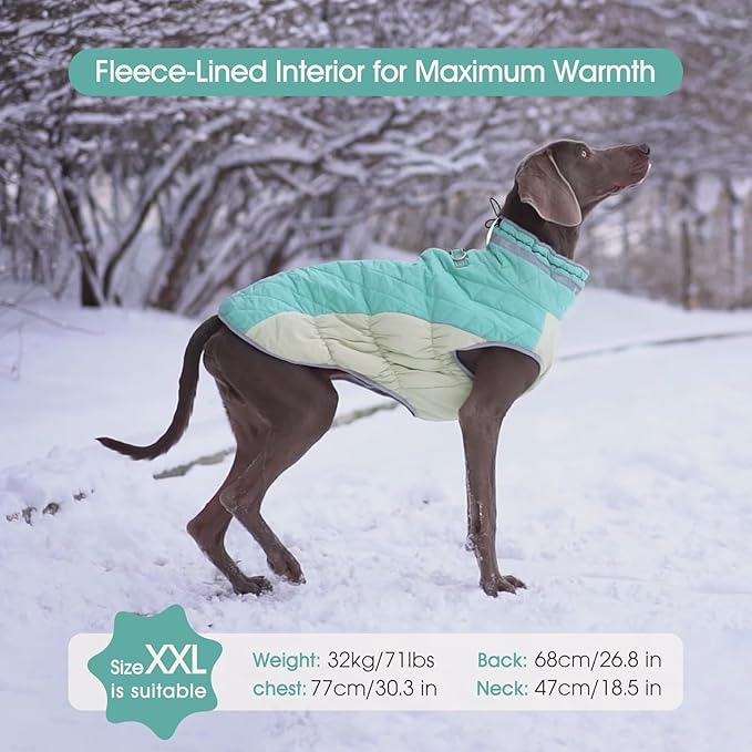 FUAMEY Dog Coat for Large Dogs,Waterproof Dog Winter Jacket with Harness Built in Puppy Cold Weather Coats Reflective Pet Vest with Zipper Warm Fleece Dogs Snowsuit Windproof Mint Green L