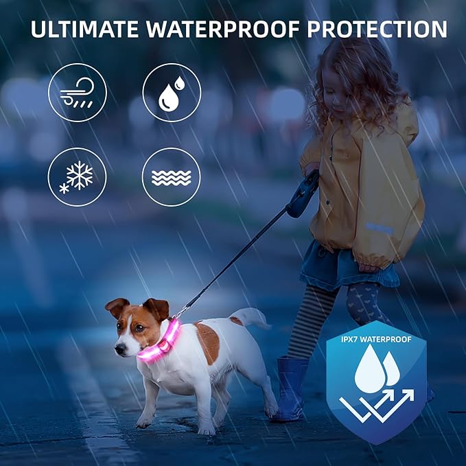 Super Bright LED Dog Collar - Fully Waterproof & Adjustable Glow Collar - USB-C Rechargeable for Night Walking, Safety - Flashing Lighted Collar for Dogs(Pink,L)