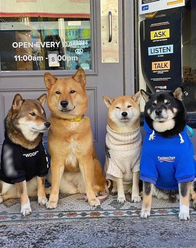 ChoChoCho Stylish Streetwear Blue Dog Sweatshirt Tracksuits, Cats Hoodies, Dog Outfit for Cat Puppy Small Medium (5XL)