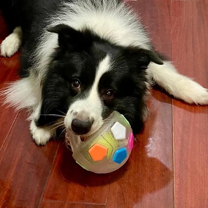 Dog Ball with Handle, 2026 New Interactive Football Shape Dog Toy, TPR Chewable Material, Squeaky, Water Play, Training & Outdoor Games (Black-A)