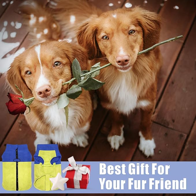 Idepet Dog Fleece Vest Sweater Zip Up Warm Pullover Dogs Jacket with D-Ring Leash Winter Cold Weater Coat Pet Sweatershirt Clothes Hoodie for Small Medium Dogs Boy Girl (Blue/Green, XXS)