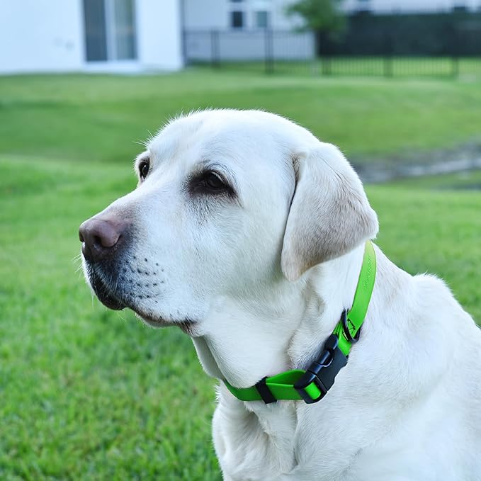 Dogline Biothane Waterproof Dog Collar with Quick Release Buckle Strong Coated Nylon Webbing with Odor- Proof for Easy Care Easy to Clean Fits Small Medium Large Dogs, Lime Green 1" W 15-25" L