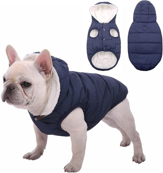 Windproof Waterproof Dog Coat Fleece & Cotton Lined Warm Jacket, Cold Weather Pet Apparel Clothes Vest for Small to Large Dogs (L, Blue)