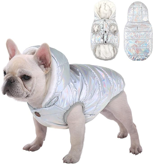 Windproof Waterproof Dog Coat - Fleece & Cotton Lined Warm Jacket, Cold Weather Pet Apparel for Small to Large Dogs (XS, Silver)