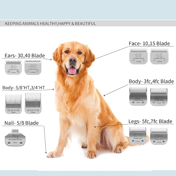 3/4HT Detachable Pet Dog Grooming Stainless Steel Blades,Compatible with Andis/Oster A5,Wahl KM10 Series Dog Clippers,Cut Length 3/4"(19mm)