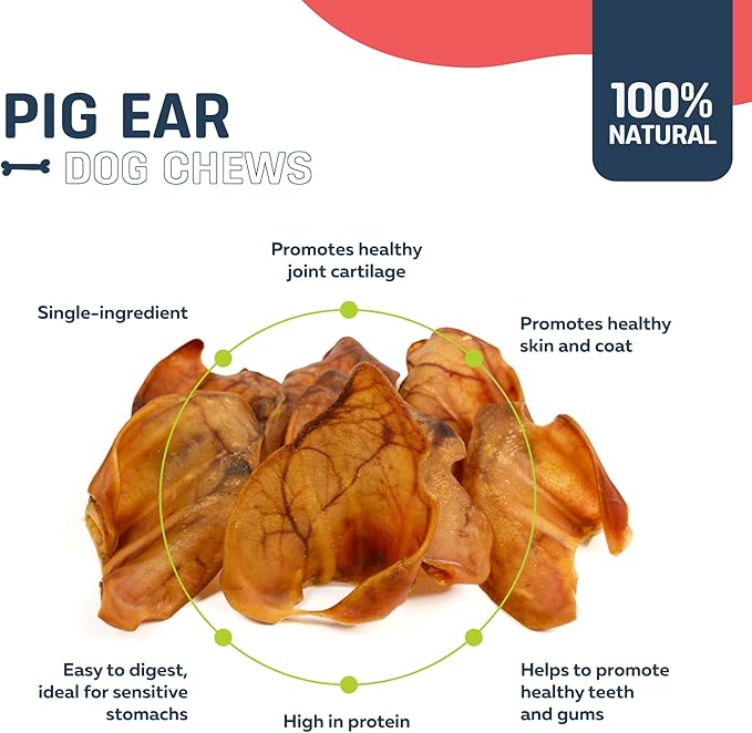 Big Lu – Pig Ear Dog Chews, 12 Count, All-Natural Single-Ingredient Pork Treats, Easily Digestible, Supports Joint Health with Glucosamine and Chondroitin