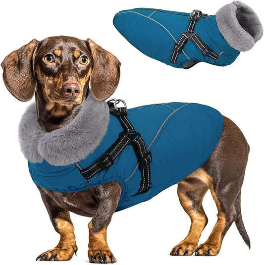 Queenmore Dog Coat,Windproof Dog Coat for Medium Dogs,Dogs Jackets with Harness Built in,Waterproof Doggy Coats with Zipper On Back,Reflective Cold Weather Coats for Dachshund，Boston Terrier,Blue,M