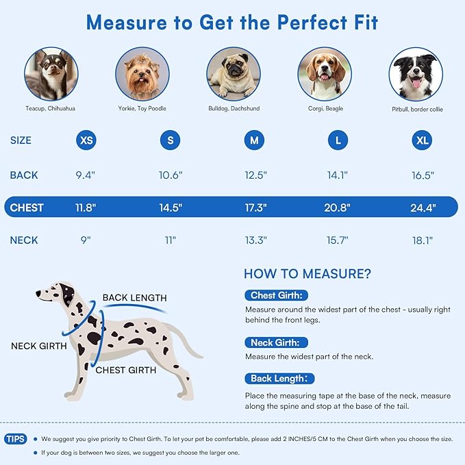 Queenmore Pullover XL Dog Sweater,Classic Turtleneck Warm Dogs Sweater with Leash Hole for Dog Girls Boys,Winter Knitwear Clothes for Dachshund,Corgi,French Bulldog(Royal Blue,XL)