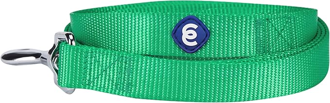 Blueberry Pet Essentials Emerald Dog Leash for Small -5' * 5/8" Dogs | Heavy Duty Nylon Lead | Lightweight Puppy & Cat Leash for Walking & Training