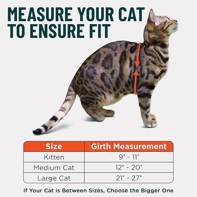 Houdini™ Escape Proof Cat Harness and Leash Set by OutdoorBengal – Turquoise, Large Cat Harness for Walking Big Cats