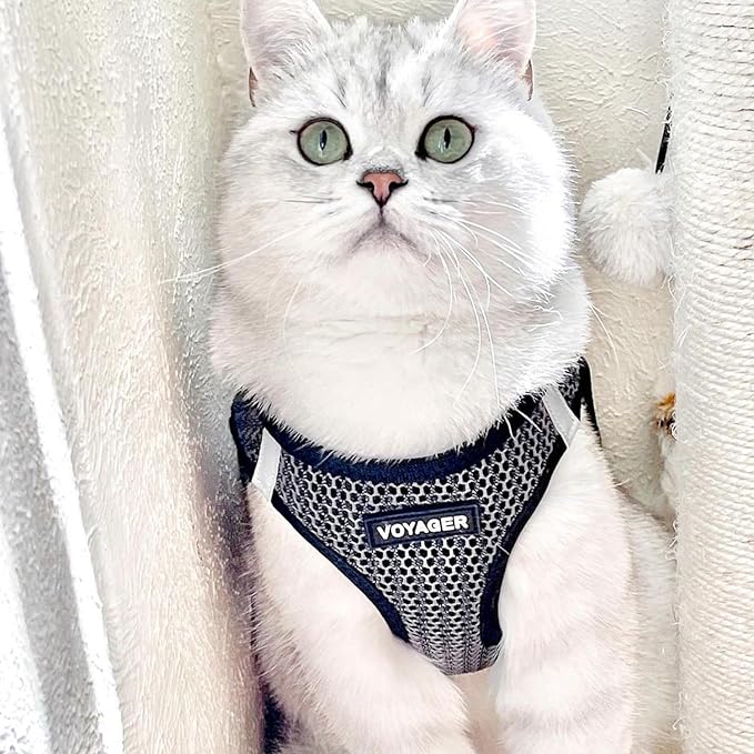 Best Pet Supplies Voyager Step-in Air Harness - All Weather Mesh, Reflective, No Pull Harness for Dogs, Cats - Secure with Hook & Loop Fastener, Buckle, Double D-Rings - Tone, XS