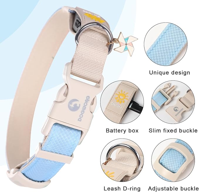 DOGWONG LED Dog Collar - Heavy Duty Light up Collars - Rechargeable Waterproof - Lighted Dog Collar for Night Walking, Hiking, Camping(Blue,S)