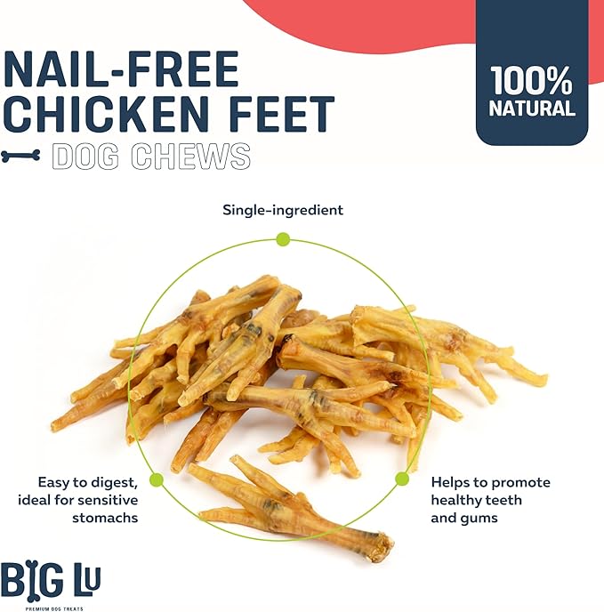Big Lu – Nail-Free Chicken Feet Dog Chews, 100% Natural Single-Ingredient Treats, Rawhide-Free, Long-Lasting, Rich in Glucosamine and Chondroitin for Joint Health (100 Count)