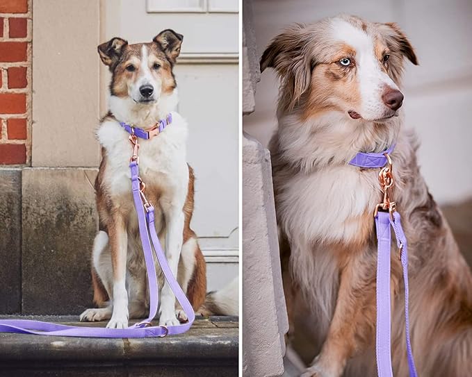 Soft Leather Dog Collar and Leash (6.6') Set - Stylish Rose Gold Heavy Duty Metal Buckle, 4 Adjustable Lengths Leash for Small Medium Large Dogs - Comfortable & Easy to Clean (S, Light Purple)