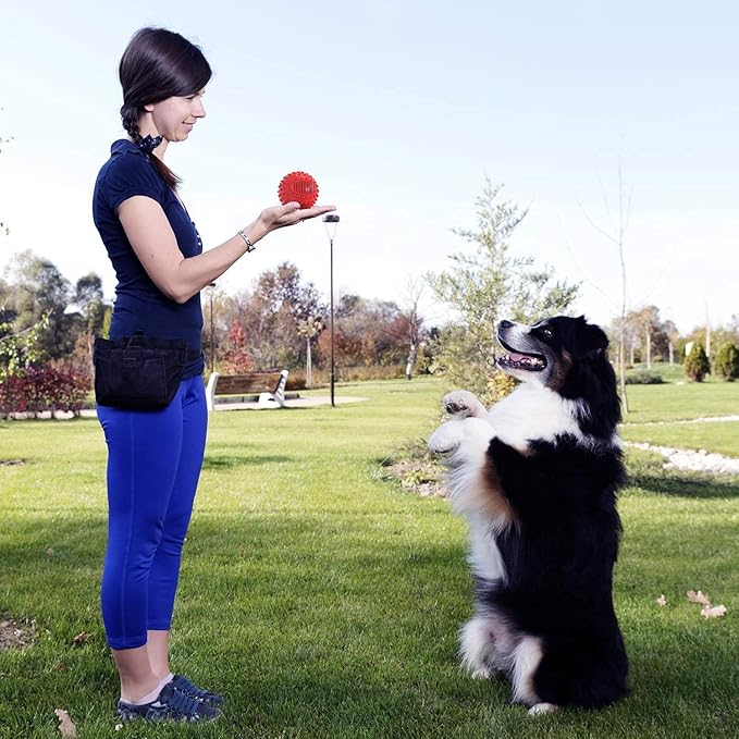 petizer 3" Squeaky Dog Balls for Aggressive Chewers, Durable Interactive Spiky Ball for Teething, Indestructible Rubber Dog Chew Toys, Tough Pet Toys for Small, Medium & Large Breeds
