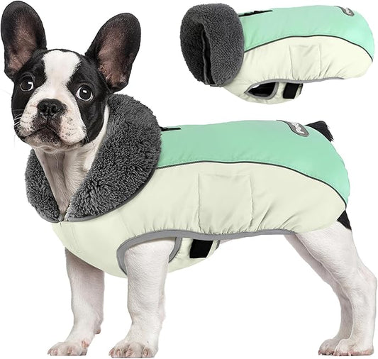 Dog Coat, Waterproof Dog Winter Jacket with Leash Hole, Reflective Adjustable Pet Fleece Sweater, Warm Snow Vest for Small Medium Large Dogs - Candy Green, XL