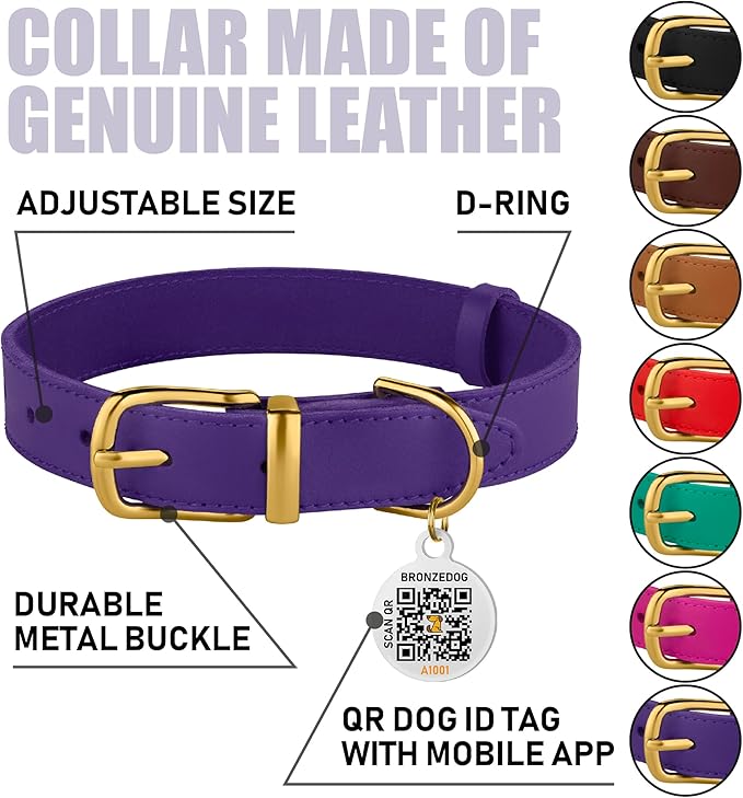 BRONZEDOG Leather Dog Collar with Metal Buckle Durable Basic Pet Collars for Small Medium Large Dogs (14-17 Inch (Pack of 1), Purple & Gold Buckle)