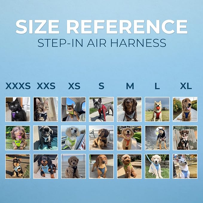 Voyager Step-In Air Dog Harness by Best Pet Supplies - All Weather Mesh Step in Vest Harness for Small and Medium Dogs, Black, size XL - Chest: 20.5 - 23"