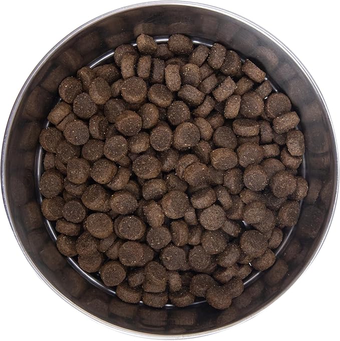 Health Extension Lamb & Brown Rice Dry Dog Food, Protein Packed Formula with Probiotics & Superfoods for Digestion & Coat Health (1lb)