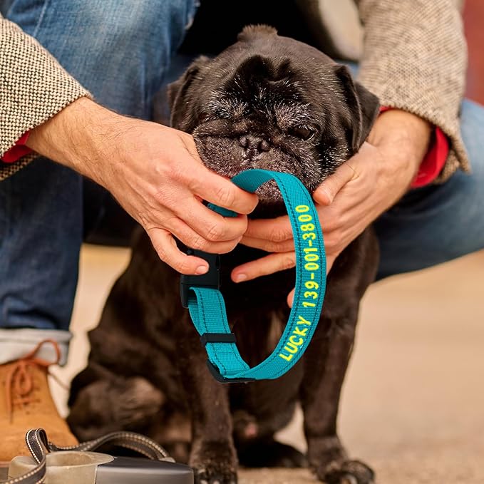 Personalized Embroidered Dog Collar - Custom Hand-Stitched Name & Number, Reflective Adjustable Pet Collar for Small/Medium/Large Dogs & Cats, Durable Nylon with Steel D-Ring (Purple, Medium)