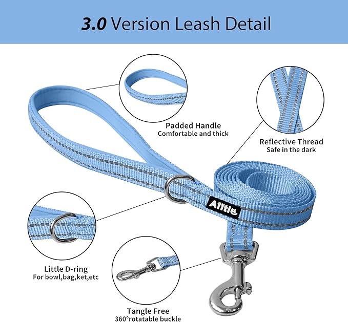 AIITLE Comfortable Dog Harness and Leash Set for Walking - Summer Step in Vest Harness,Reflective Bands, Adjustable No Pull Puppy Essentials, for Small Dogs and House Cats Pure Blue XS