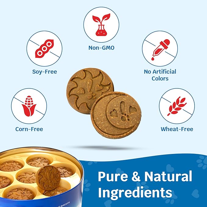 Shmush! Morning & Night Healthy Dog Biscuits – 100% All Natural Dog Treats Superfood with Blueberries, Colostrum & Moringa - Vet Formulated, Non-GMO, USA Made, Grain Free Cookies for Dogs - 56 Count