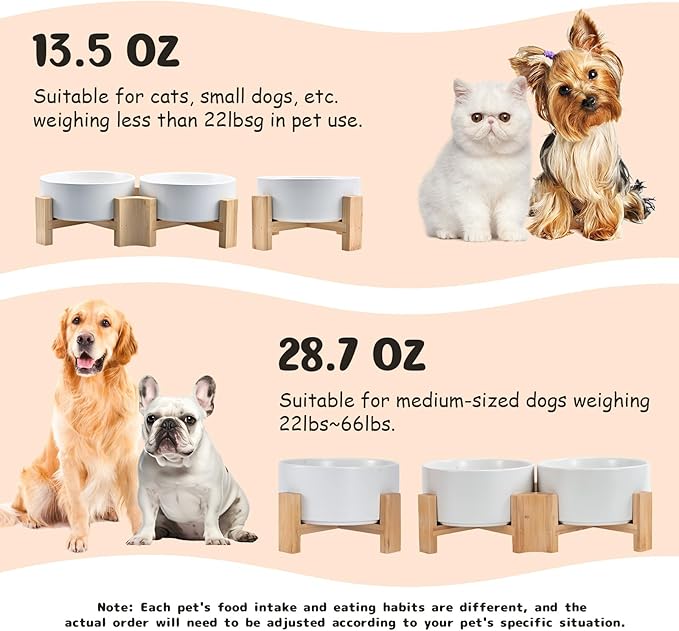 SPUNKYJUNKY 15° Slanted Ceramic Dog and Cat Bowl with Wooden Stand, Tilted Bulldog Food and Water Bowl No Slip Non-Spill for Cats Medium Dogs Big Face Pets 28.7 OZ (3.6 Cups, White)