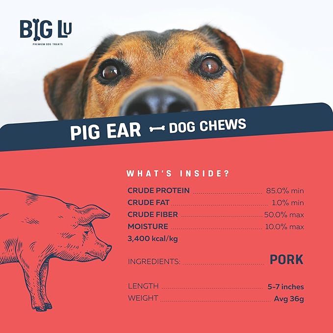 Big Lu – Pig Ear Dog Chews, 12 Count, All-Natural Single-Ingredient Pork Treats, Easily Digestible, Supports Joint Health with Glucosamine and Chondroitin