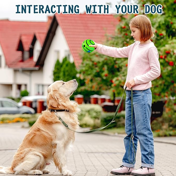 HYQ Interactive Ball for Small Medium Large Dogs - Squeaky Puppy Toy to Keep Them Busy - 5.51 Inch