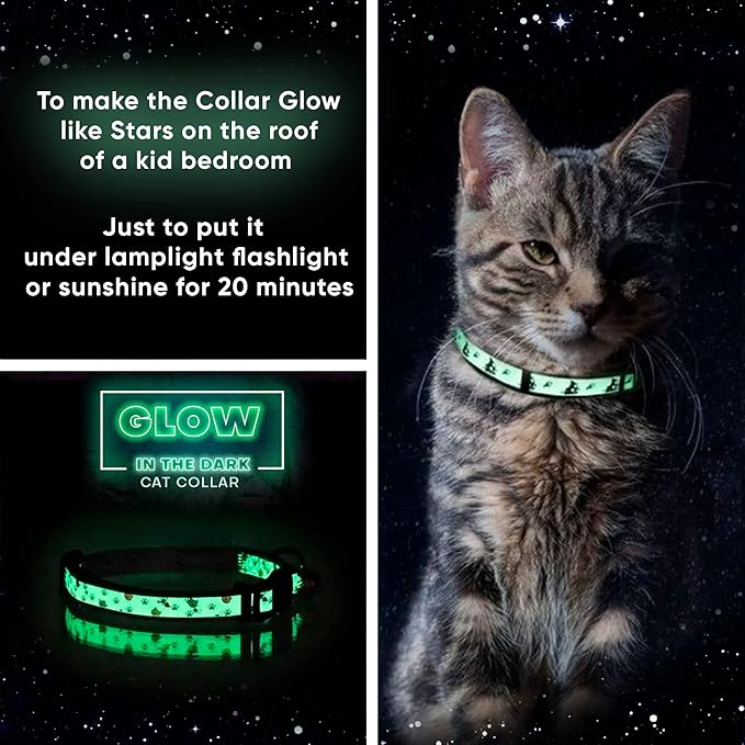 Pawtitas Glow in The Dark Cat Collar Set of 2 with Safety Buckle and Removable Bell Cat Collar Kitten Collar Teal Cat Collar + Orange Cat Collar