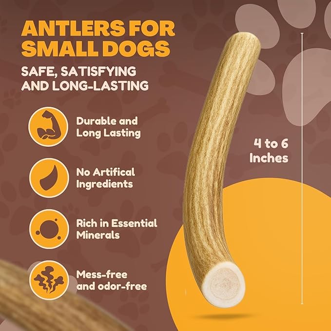 WhiteTail Naturals - Antlers for Small Dogs (10 Pack) Deer Antler Dog Chew Bones for Small Aggressive Chewers - Long Lasting Horn Chew Toys - Naturally Shed